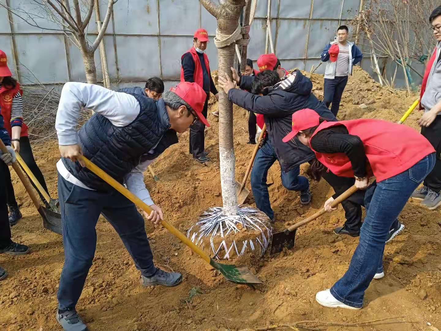 1615771157639999q0KZ.jpg 植樹(shù)1.jpg